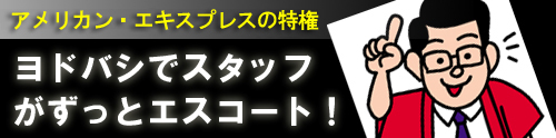 アメリカン エキスプレスを持てばヨドバシカメラで専任スタッフがつく クレジットカードdb