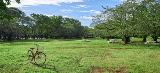 自転車保険プラン